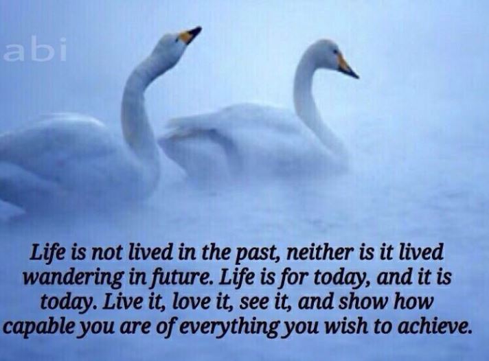 Live life Today Quote Motivation