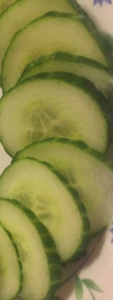 Salad cucumber