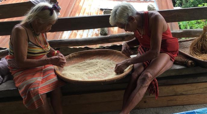 Comfort and Simplicity Quote