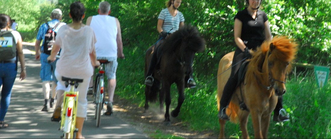 Perfection is an Illusuion