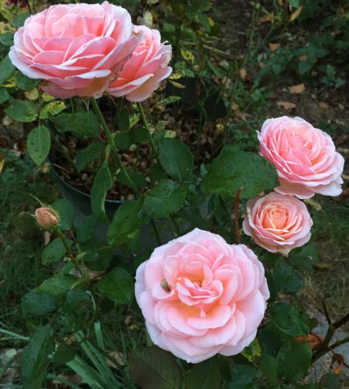 Smell the roses. Smell the coffee. Whatever it is that makes you happy