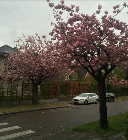 Seasons of Life Quote