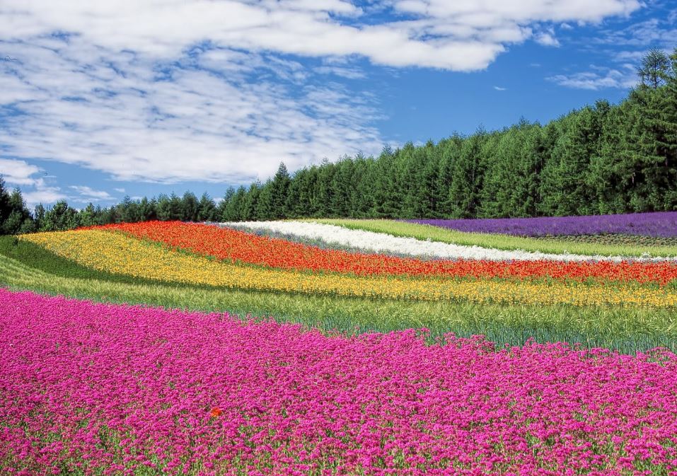 See, Touch, and Experience Beauty Nature