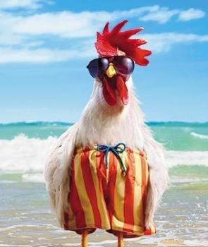 The older we get the less we care