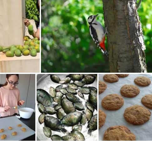 Creativity gives rise to the limited out of the unlimited, to sanity out of madness, to the valuable out of the priceless. To abundance out of nothingness, to the original out of the familiar, and to hope out of despair.