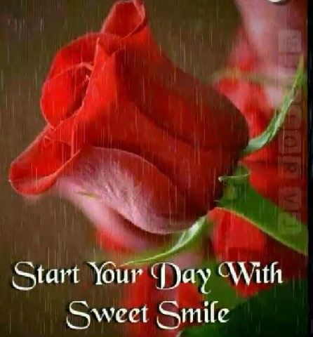 Smile Peace and Positive Emotions